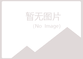 大连白山会计有限公司